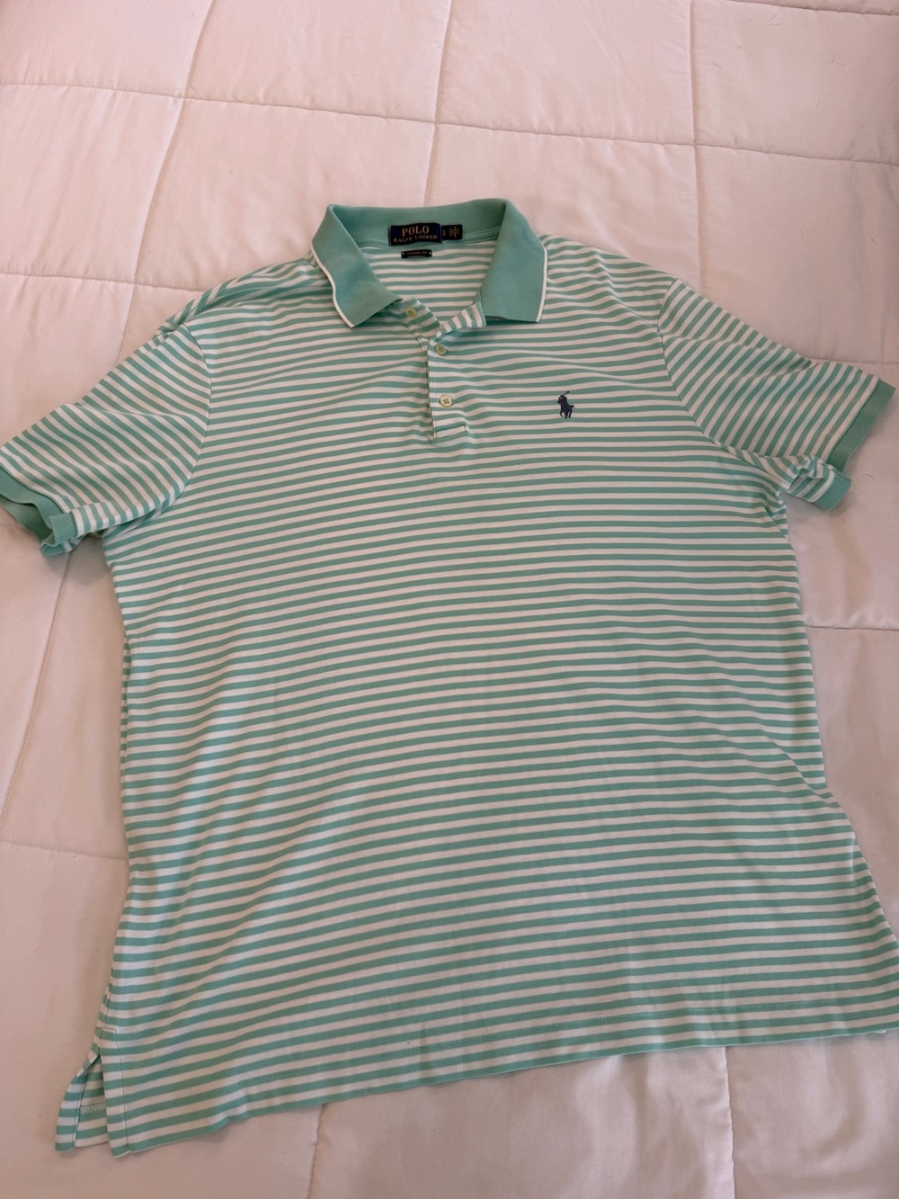 Polo by Ralph Lauren Mint Striped Cotton Polo Shirt
